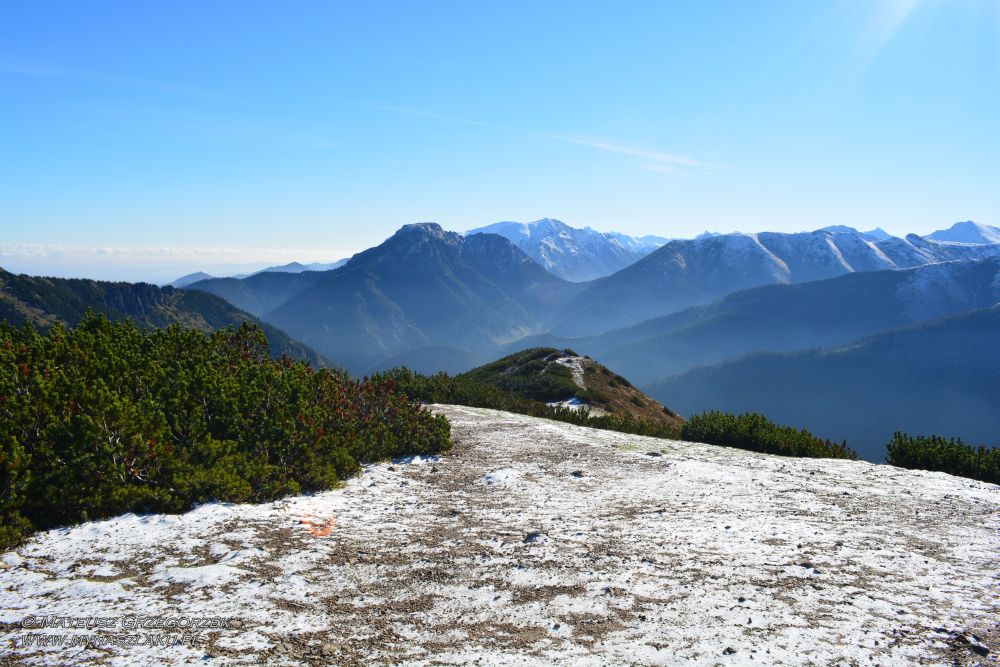 Szczyt Grześ, Rakoń i Wołowiec w Tatrach Zachodnich - szlak z Siwej Polany