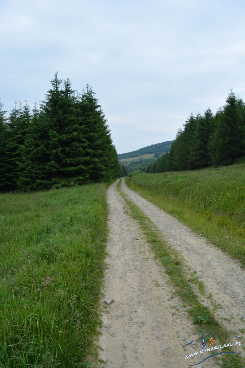 Przełęcz Wysowska w Beskidzie Niskim