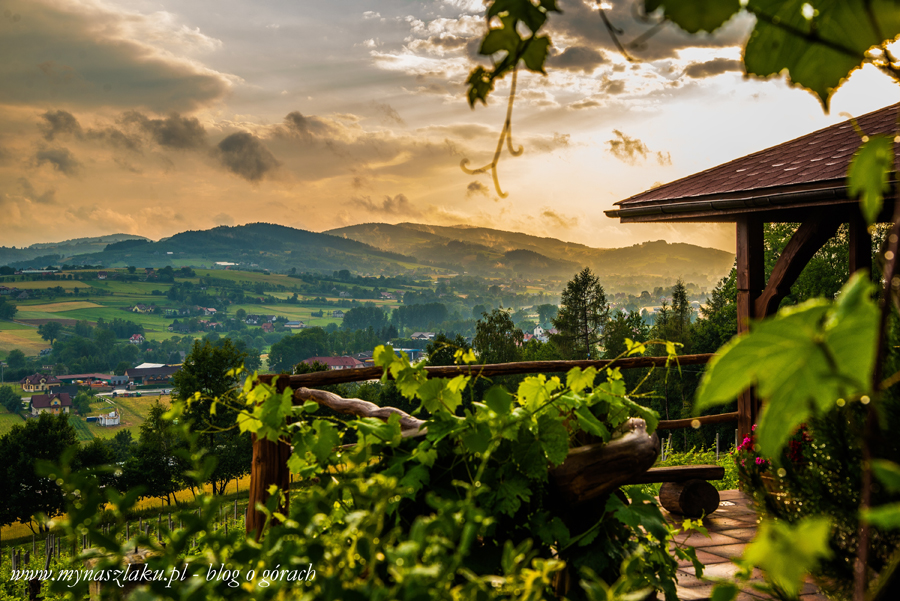 Winnica Nowizny - degustacja wina, hodowla danieli i park linowy