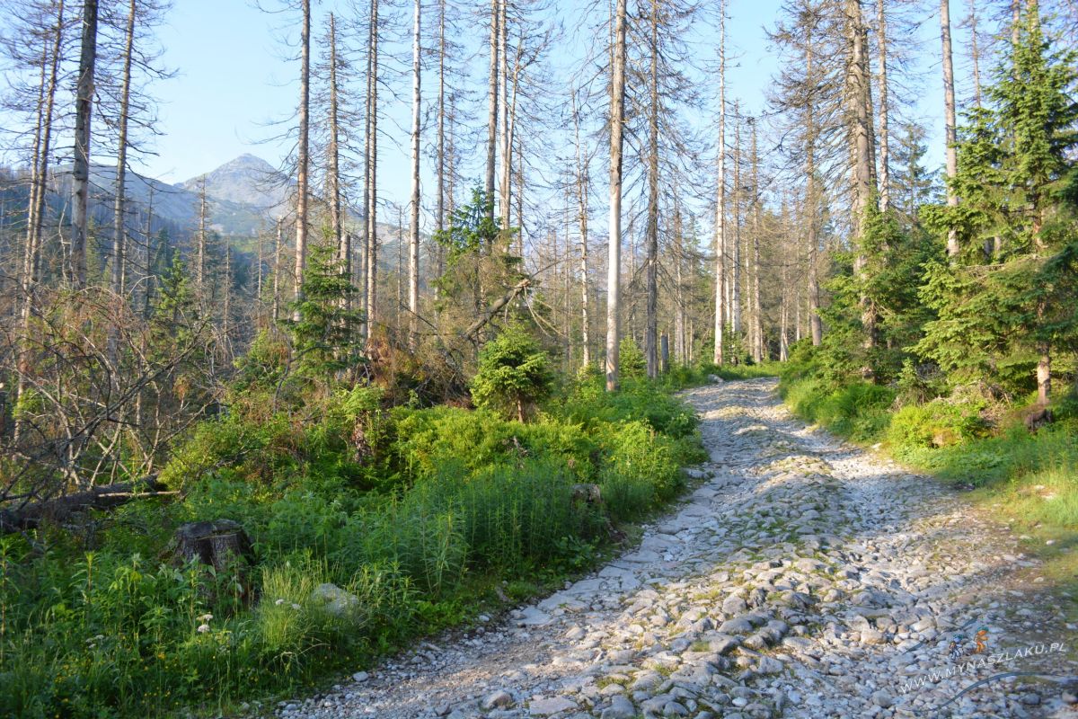 Szlak na Przełęcz Zawrat w Tatrach 