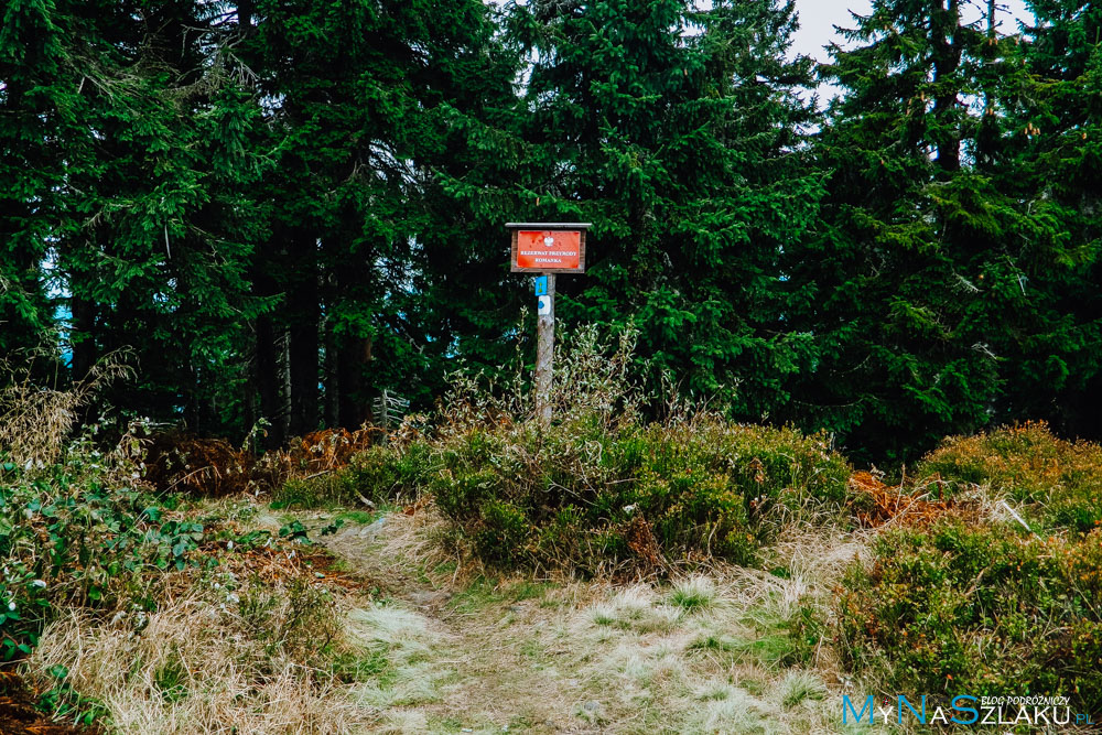 beskid żywiecki