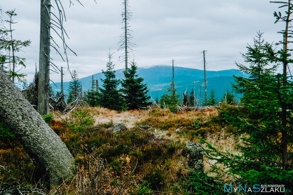 beskid żywiecki