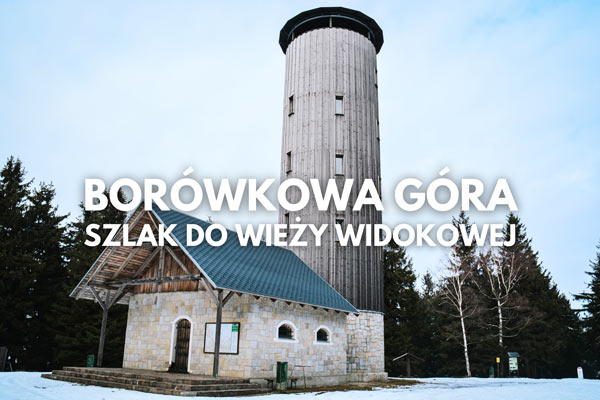 BORÓWKOWA GÓRA