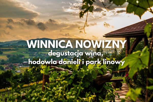 Winnica Nowizny