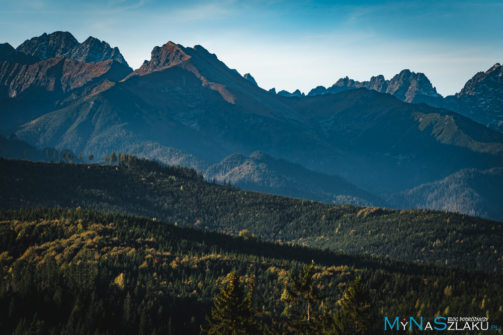 Przełęcz nad Łapszanką - piękny punkt widokowy na Tatry