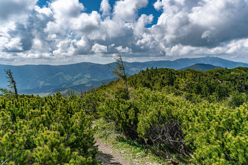 Salatin Niżne Tatry