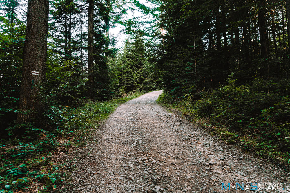 Korona Gór Polski - Beskid Makowski