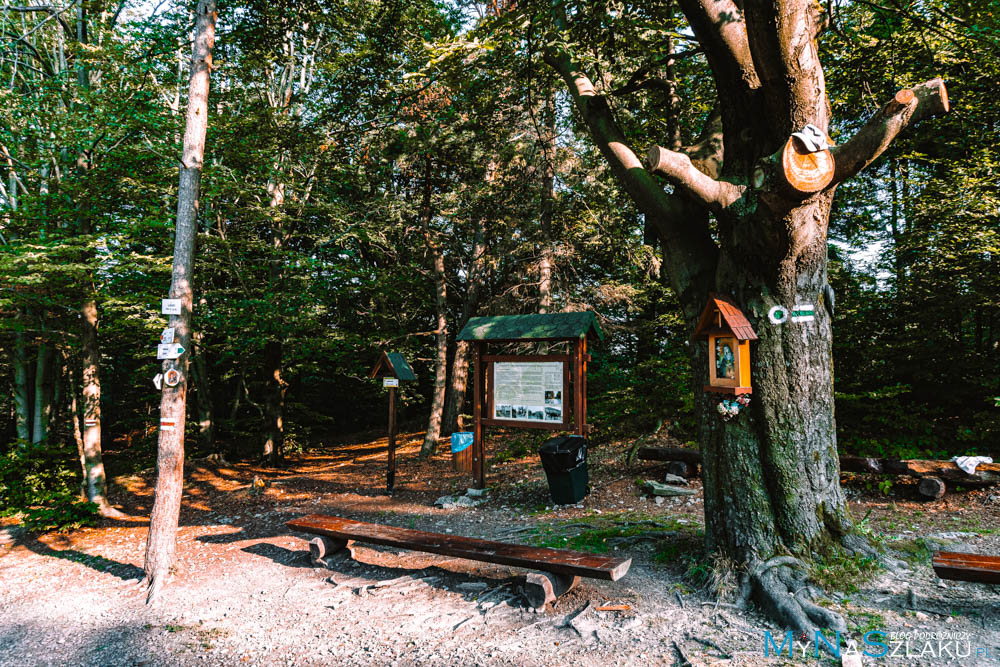 Korona Gór Polski - Beskid Makowski