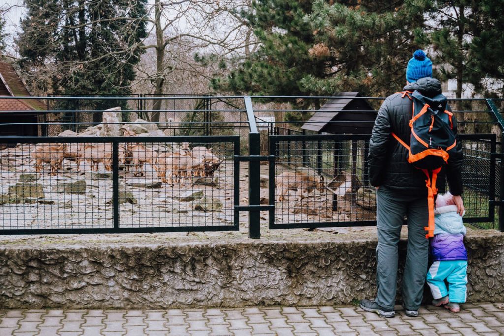 krakow zoo malopolska