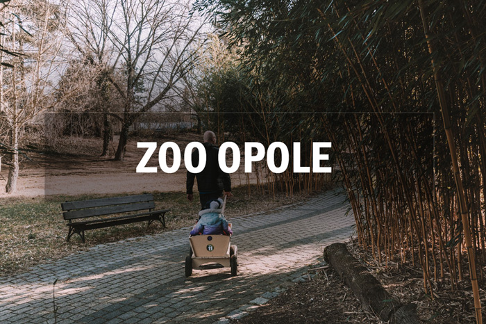 zwiedzanie zoo opole