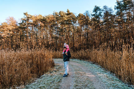 Lasy Wierzchosławickie koło Tarnowa