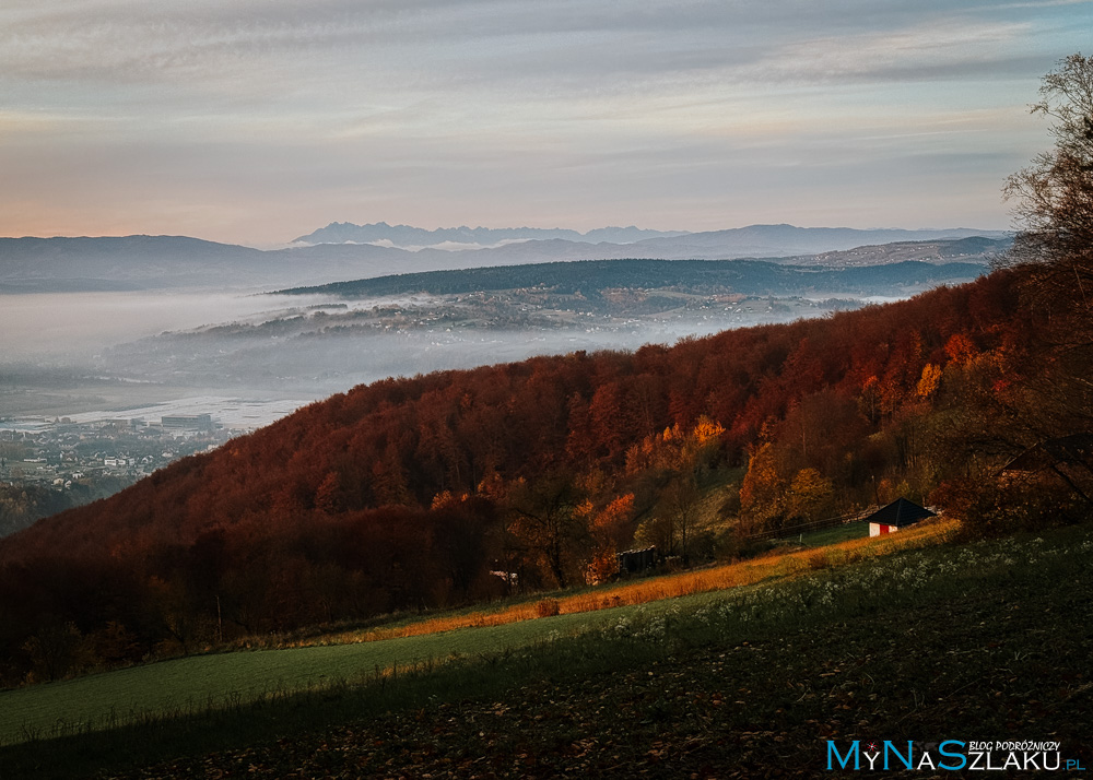 Nowy Sącz - ciekawe miejsce w okolicy