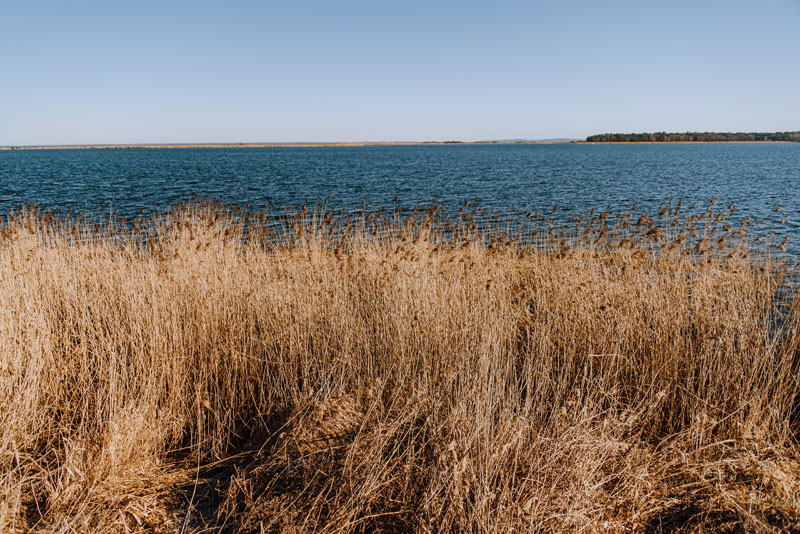 Jezioro Nowowarpieńskie