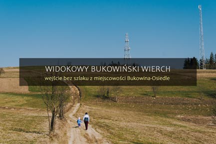 Bukowiński Wierch