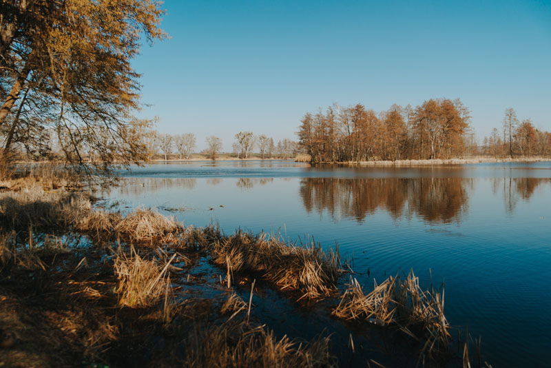 Jezioro Trzygłowskie (Jezioro Miejskie)