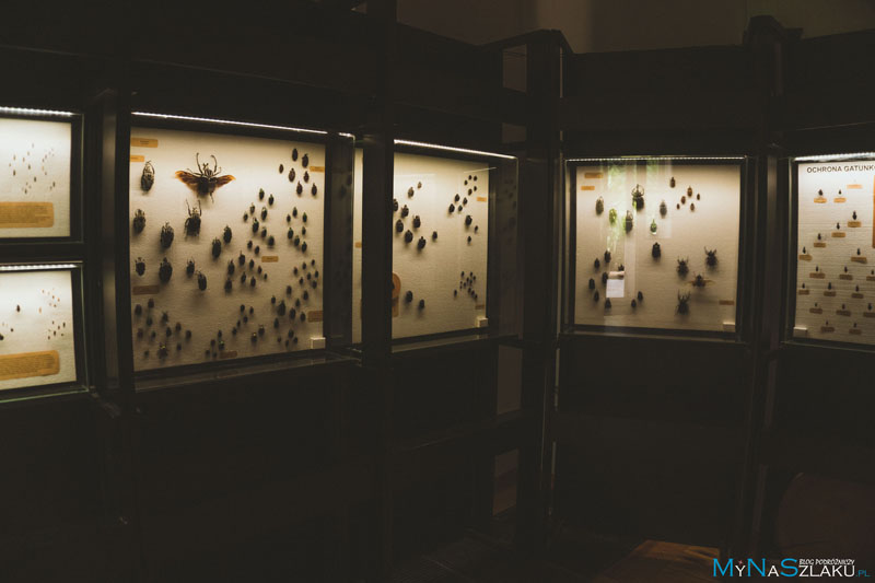 Dwór w Bolestraszycach - Muzeum Przyrodnicze