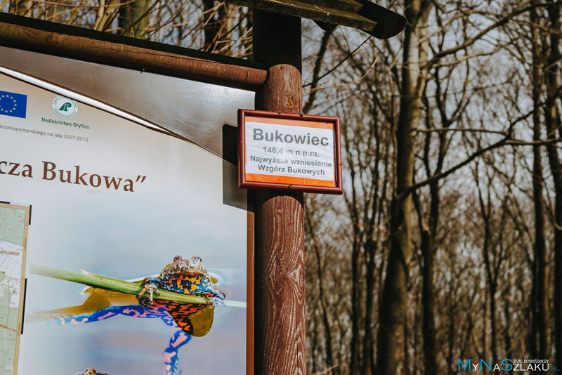 Podróż po atrakcjach Szczecińskiego Parku Krajobrazowego Puszcza Bukowa