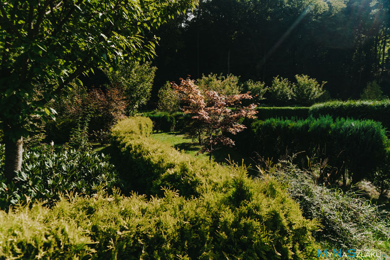 Zaczarowany Ogród w Arboretum Bramy Morawskiej