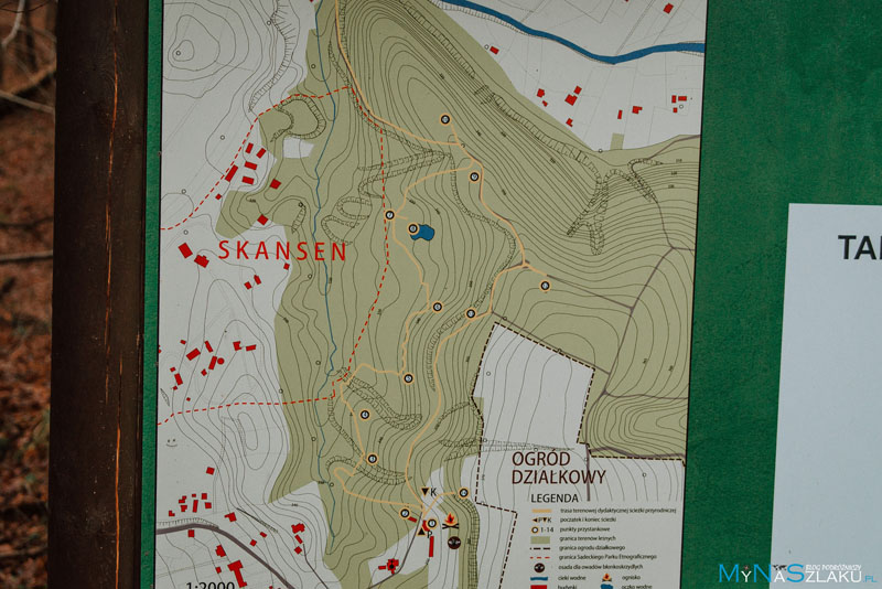 Lasek Falkowski w Nowym Sączu mapa