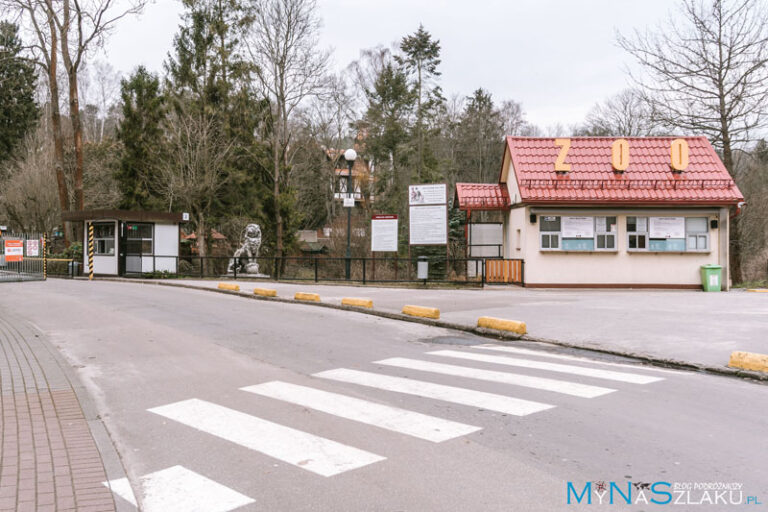 Zoo Gdańsk Oliwa Dojazd Cennik Bilety Godziny Otwarcia Parking Mapa