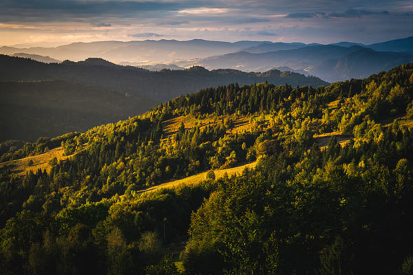 Koziarz - Beskid Sądecki