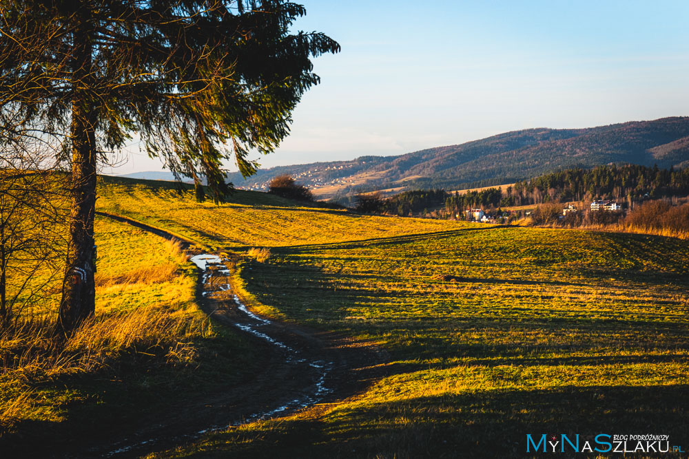 Schronisko na Maciejowej