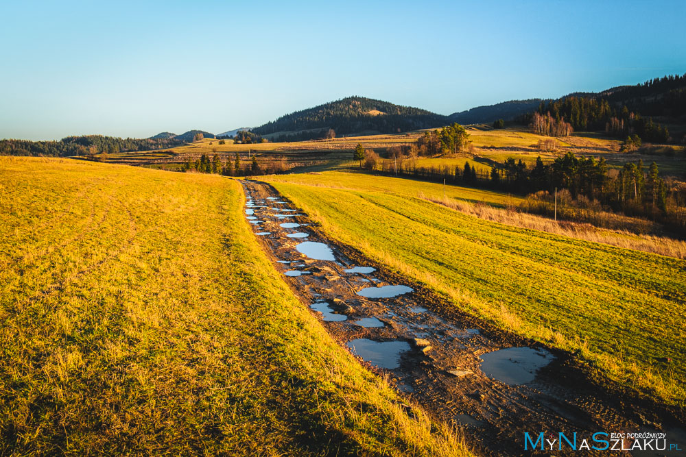 Schronisko na Maciejowej