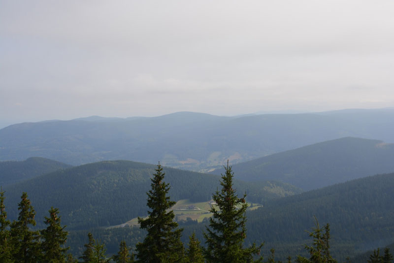 Góra Igliczna, Czarna Góra i Żmijowiec - szlak z Międzygórza