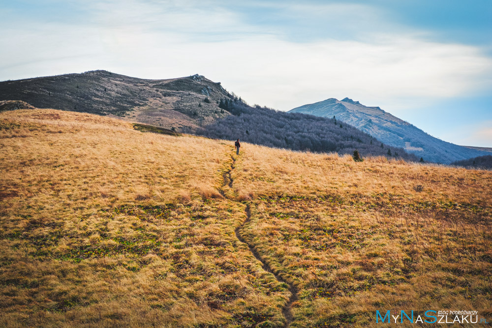 Bieszczady - Bukowe Berdo