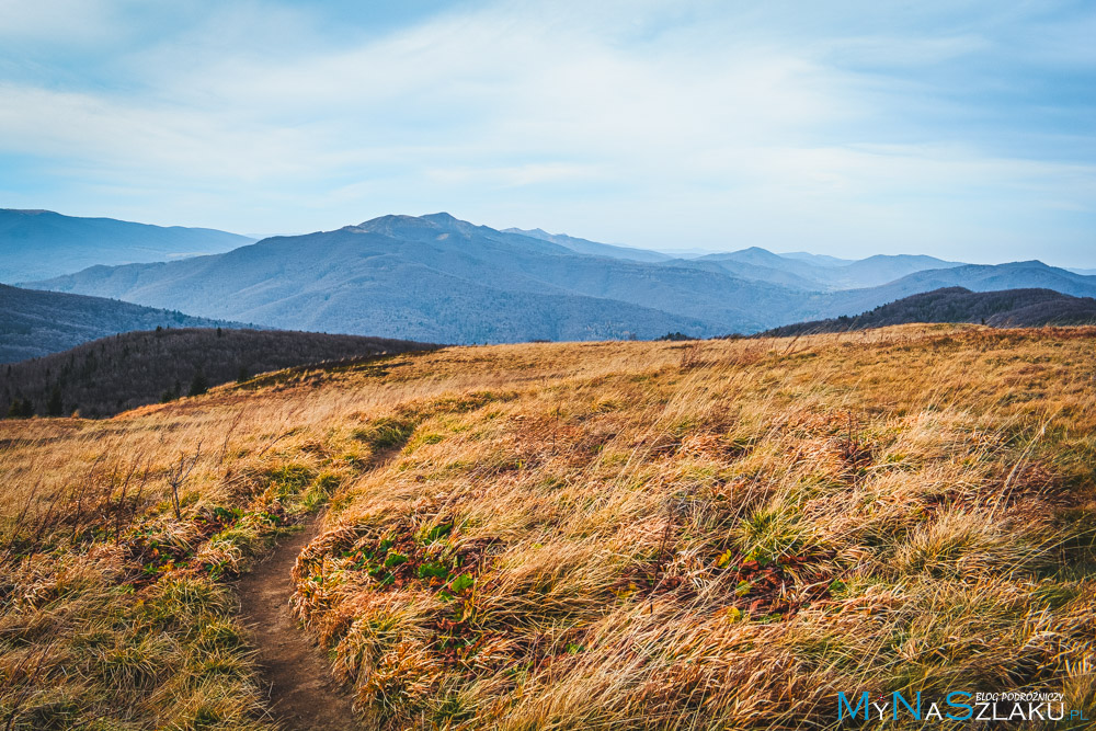 Bieszczady - Bukowe Berdo