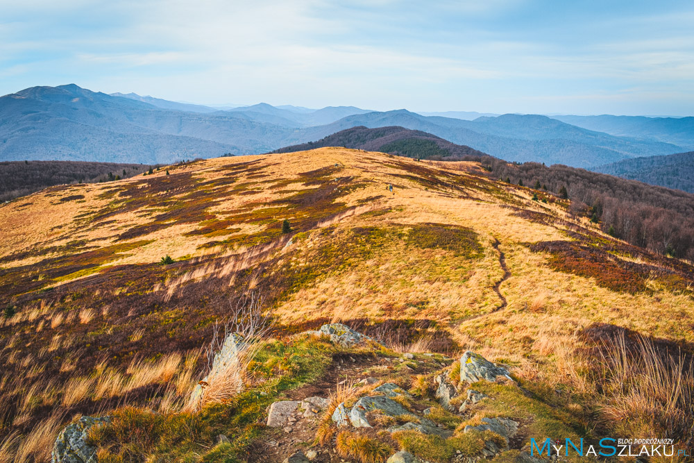 Bieszczady - Bukowe Berdo