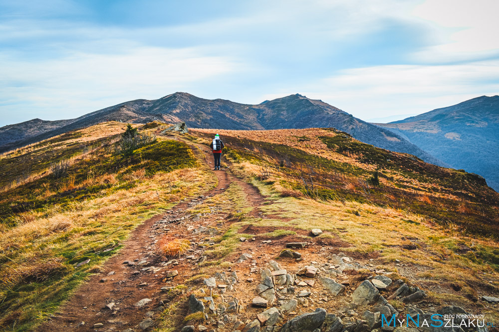 Bieszczady - polskie góry