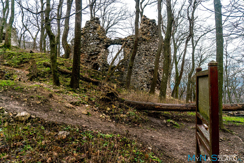 Ruiny zamku Ostry Kamień w Małych Karpatach