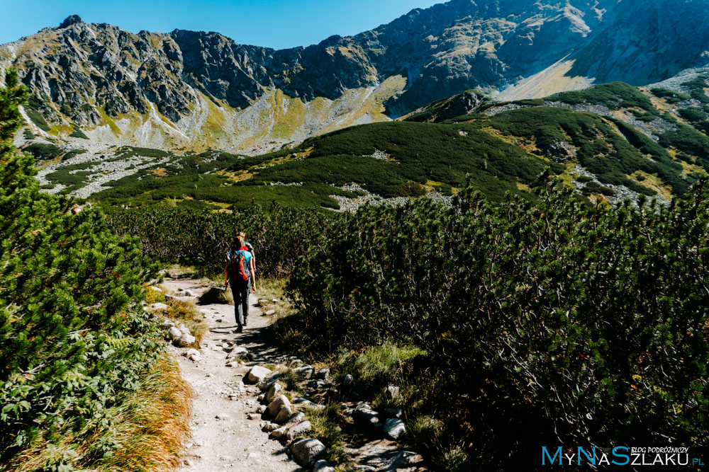 tatry