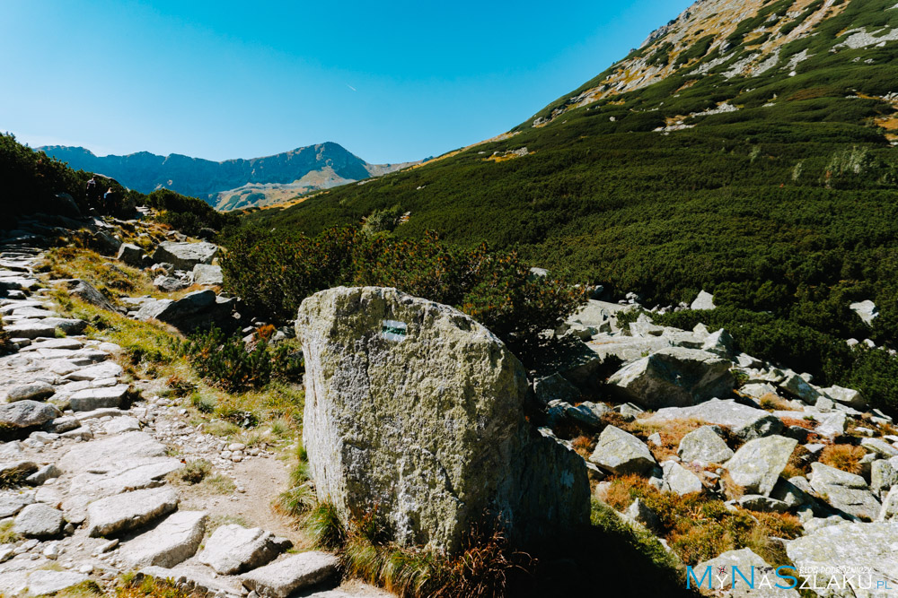 tatry