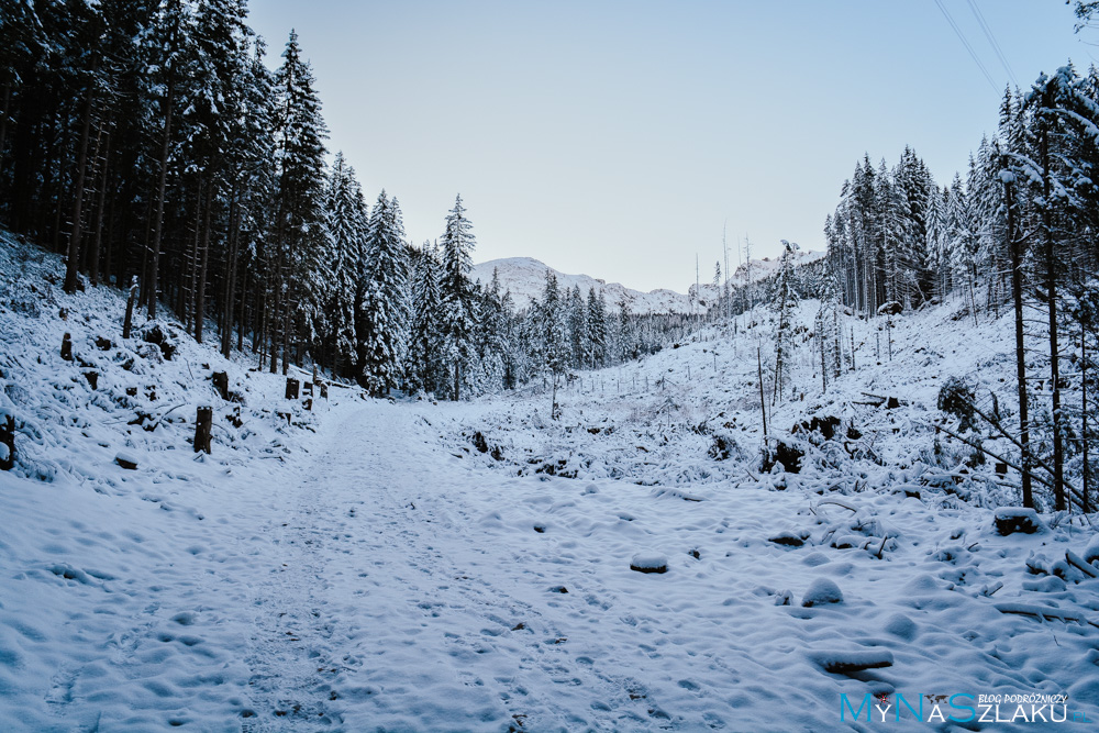 Tatry Myślenickie Turnie