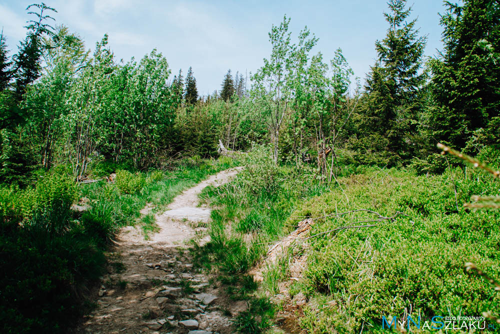 Beskid Żywiecki