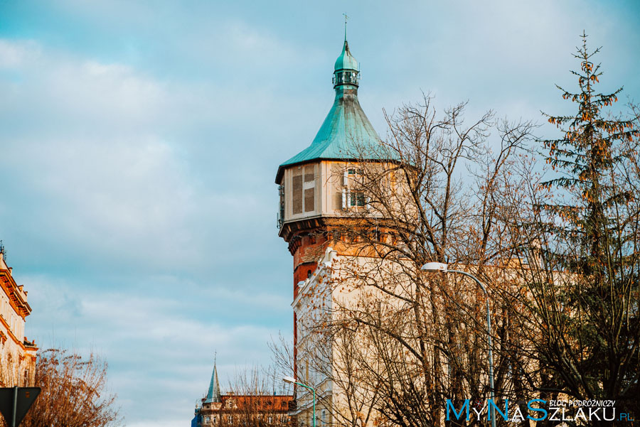 Wieża ciśnień i Katedra Świdnicka