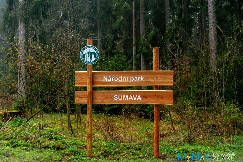 Park Narodowy Szumawa w Czechach