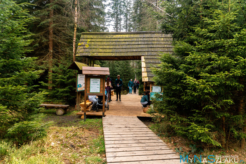 Rezerwat Rejviz w Czechach - ścieżka nad Velke Mechové jezírko