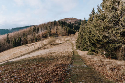Szlaki górskie w Beskidzie Śląsko-Morawskim