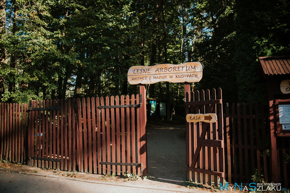 Leśne Arboretum Warmii i Mazur w Kudypach niedaleko Olsztyna