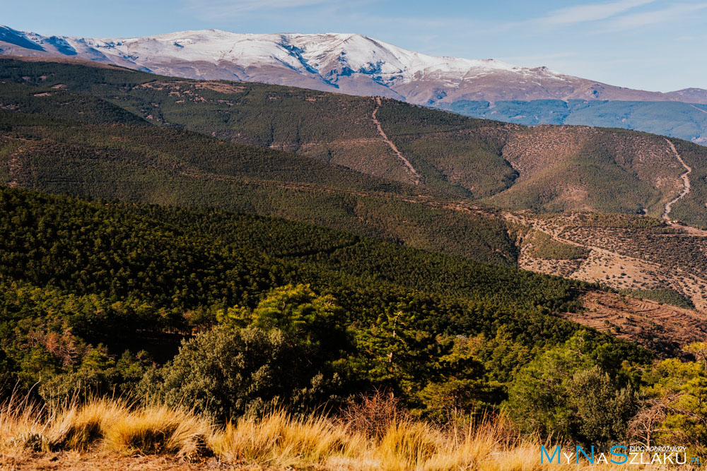 Mirador del Marquesado