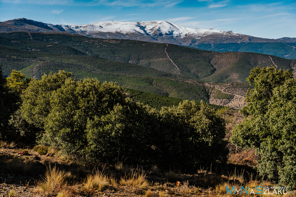 Mirador del Marquesado