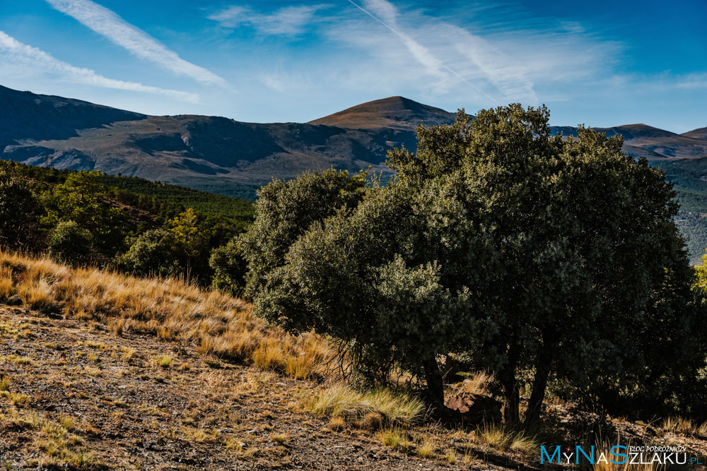 Mirador del Marquesado