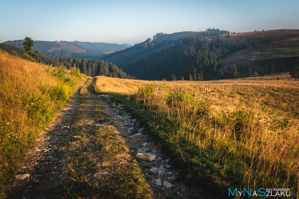 Panská hoľa 