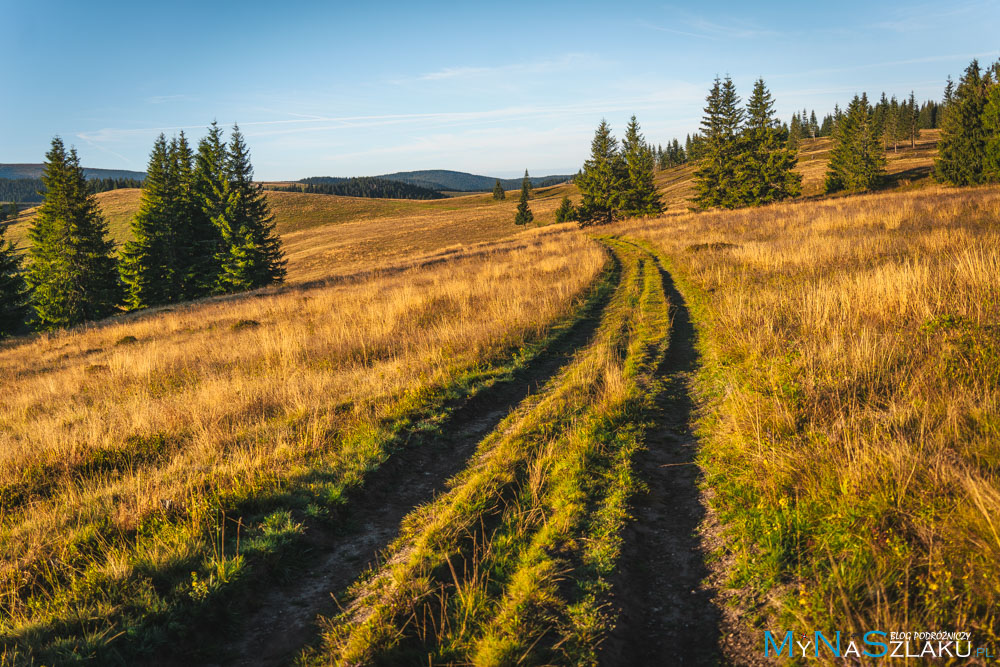 tatry niżne