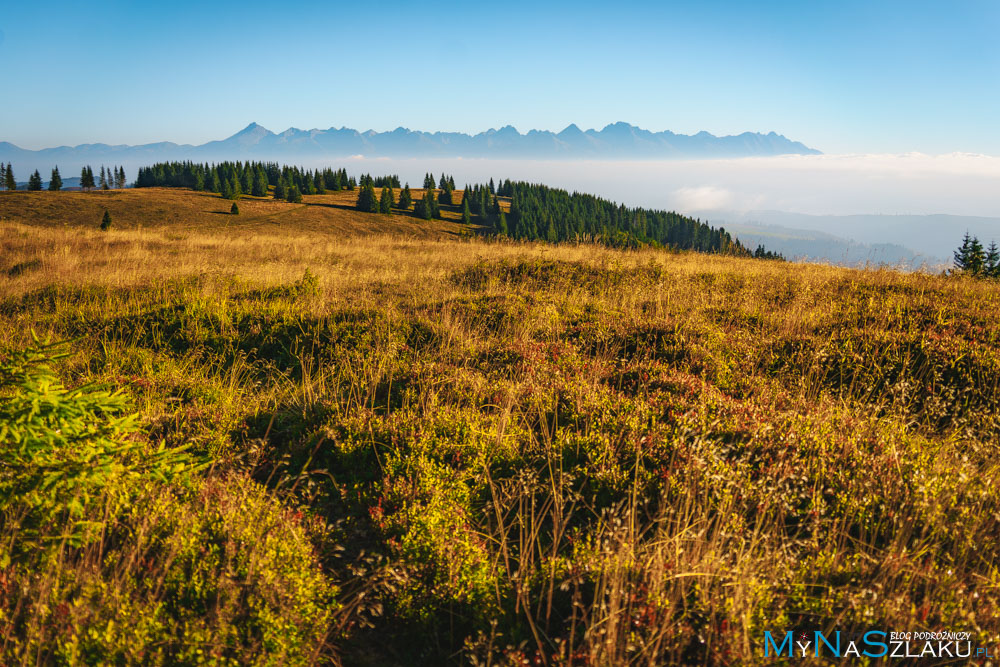 tatry niżne