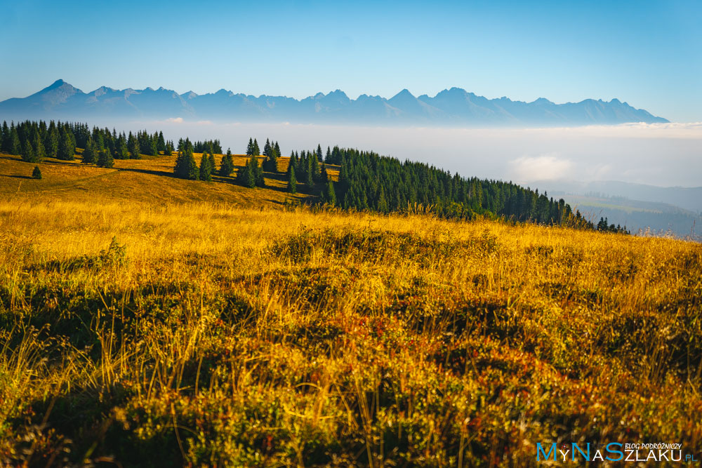 tatry niżne