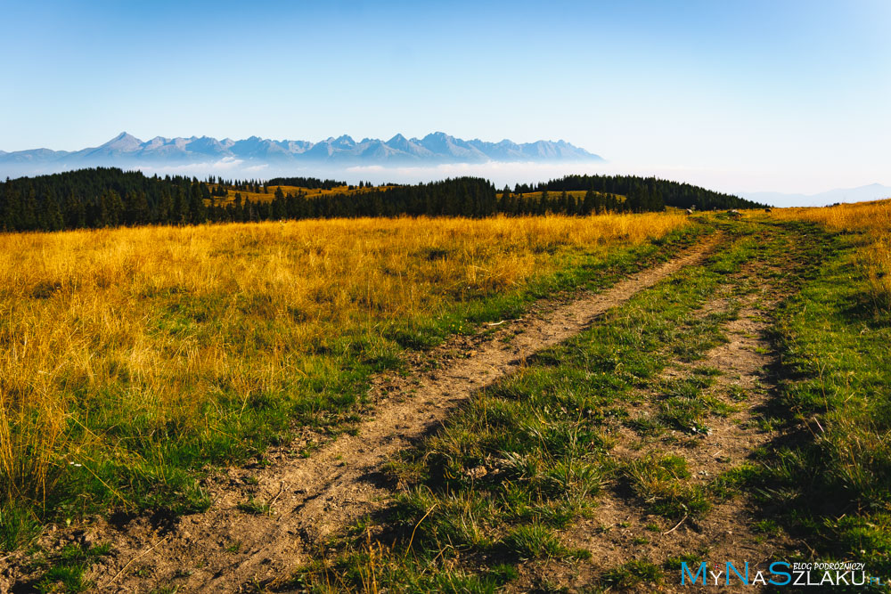 tatry niżne